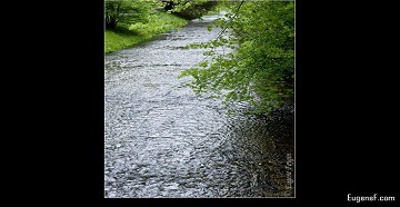 clean water stream